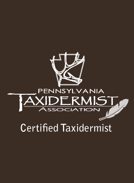 Certified Taxidermist